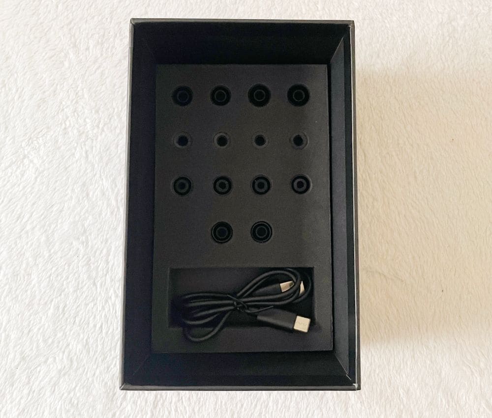 Hifiman Svanar wireless3