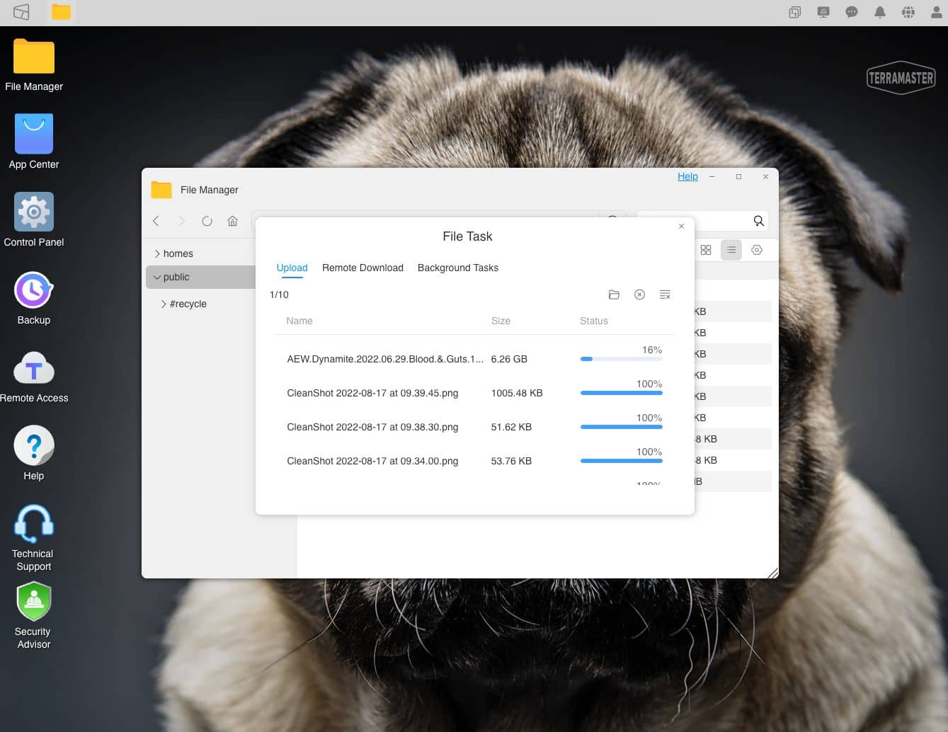 terramaster 2 bay nas screens review11