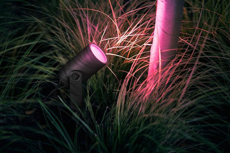 hue lily spotlight review